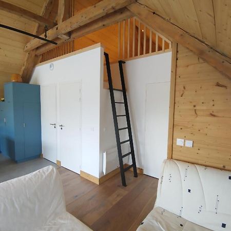 Logement Entre Lac Et Montagne Annecy Zewnętrze zdjęcie